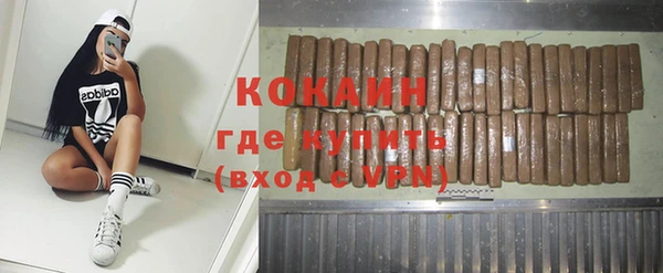 ГАЛЛЮЦИНОГЕННЫЕ ГРИБЫ Горно-Алтайск