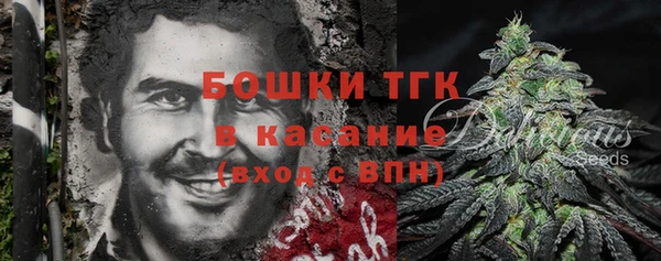 стаф Горняк